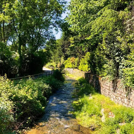 Apartment Is My Happy Place